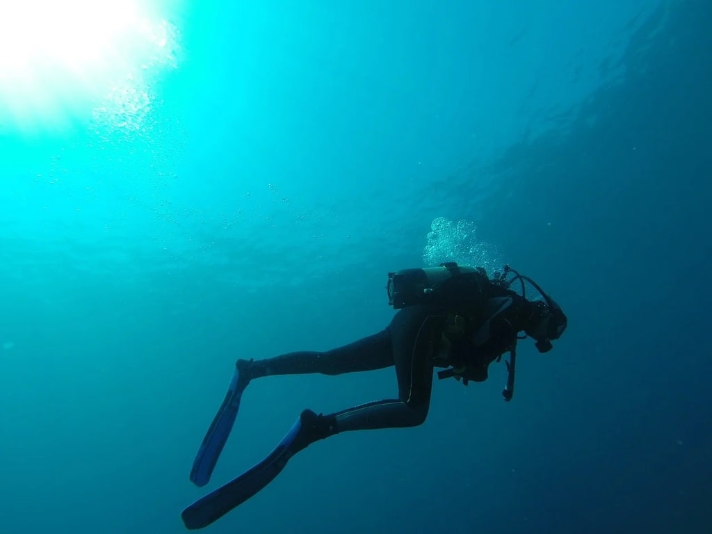 Capturer l'Atlantide : techniques de photographie sous-marine