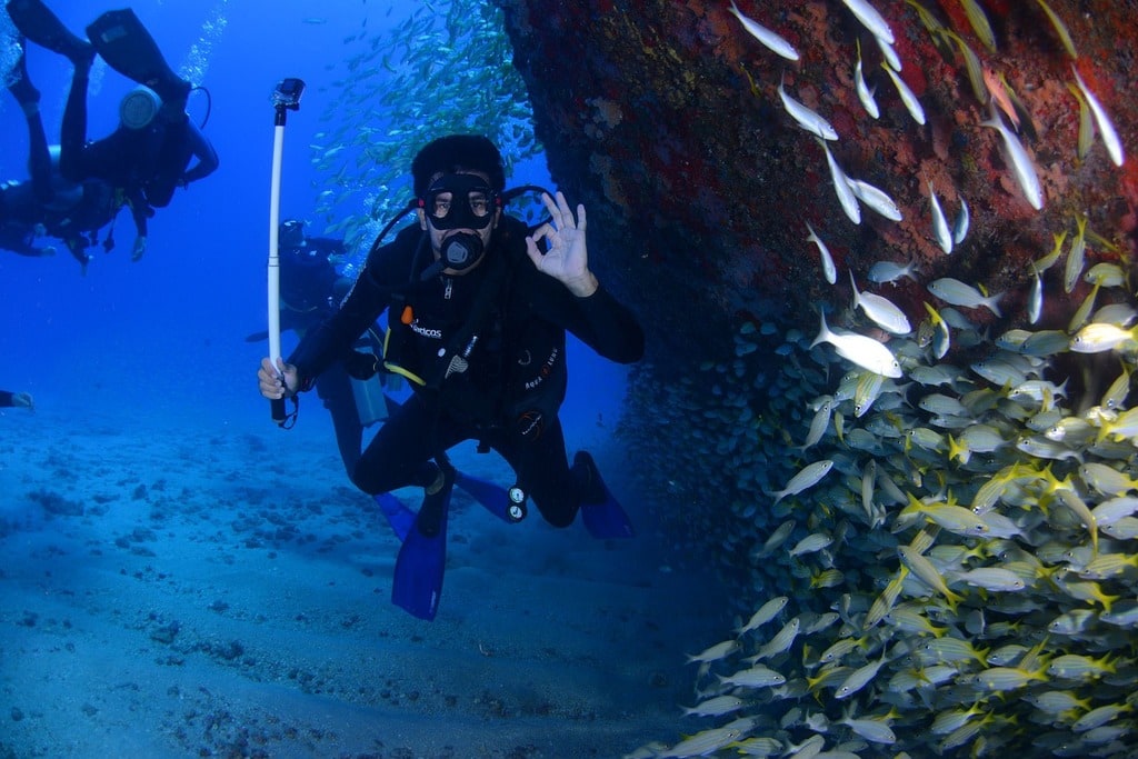 Capturer l&rsquo;Atlantide : techniques de photographie sous-marine