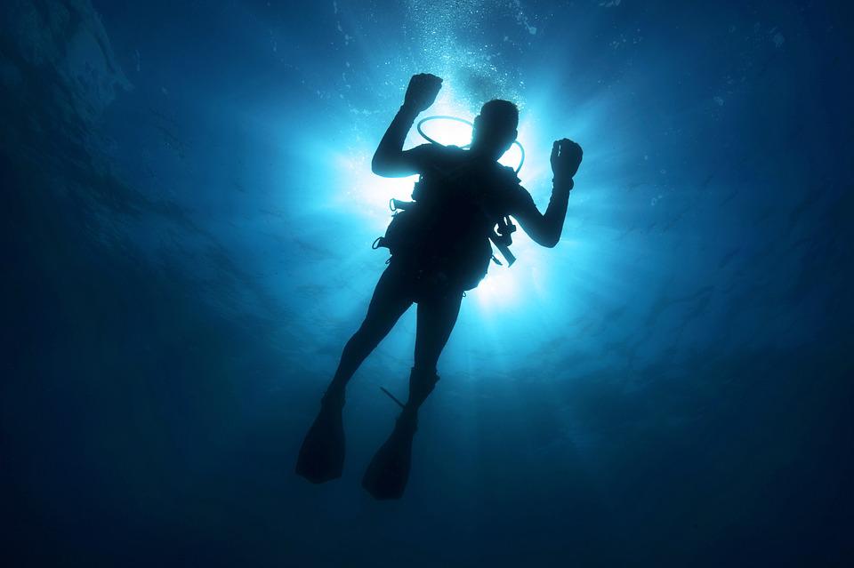Explorer les merveilles sous-marines de l&rsquo;Atlantique